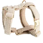 Dog Vest