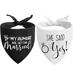 Bandana de casamento para cães "Meus humanos vão casar, ela disse" Celebre o grande dia! Acessório fofo e festivo para seu pet na festa. — foto 2