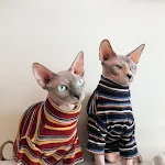 miniatures image - 0