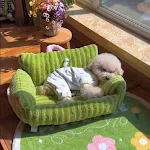 Creative and Cute Striped Pet Sofa Nest provides comfort and coziness. The perfect resting spot for your dog or cat, a c — photo 8