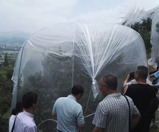 Title 5, Insect Net Fruit Tree Pest Control Plant Protec...