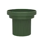 Green big