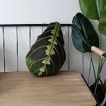 Cuscino con foglie di piante tropicali per l'arredamento. Dona un tocco esotico e di comfort al tuo salotto o camera da letto. — foto 25