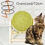 12cm