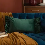 Solid Color Dark Green