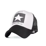 White fivepointed star