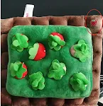 Radish