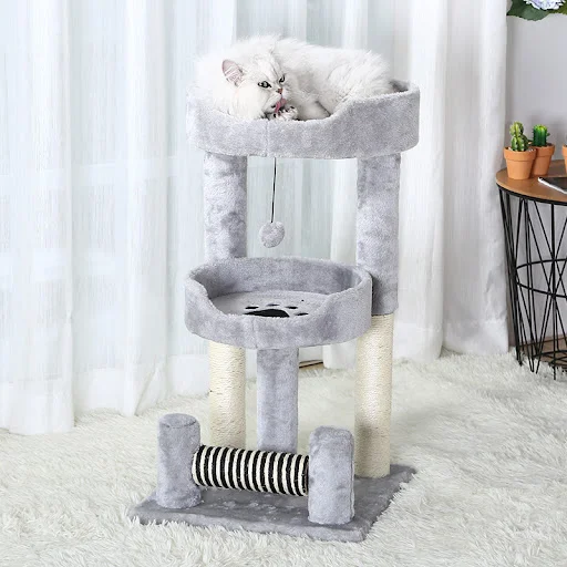 Title 5, Cat litter, cat tree, all-season general purpos...