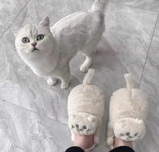 Title 5, Cute and warm slingback simulation cat slippers...