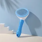 Blue-B