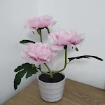 miniatures image - 0
