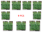 miniatures image - 6