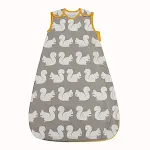 Grey squirrel