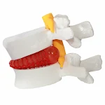miniatures image - 2