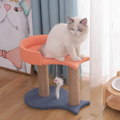 Title 3, Tianzhu Small Cat Jumping Platform Toy With Nest