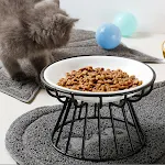 Cat Lift Bowl With Metal Stand Pet Ceramic Food Snacks Feeding Elevated Feeder Kitten Puppy Dish Dog Supplies Accessorie — photo 5