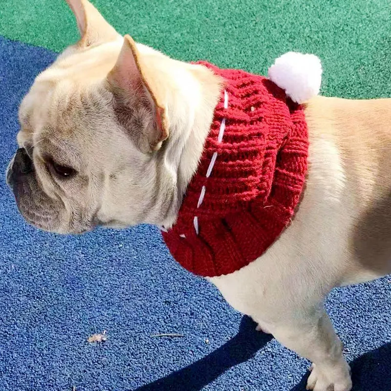 Funny woolen hat for pets to keep them warm in winter. A cozy and stylish way to protect your furry friend from the cold — photo 2