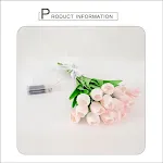 Pink Tulip