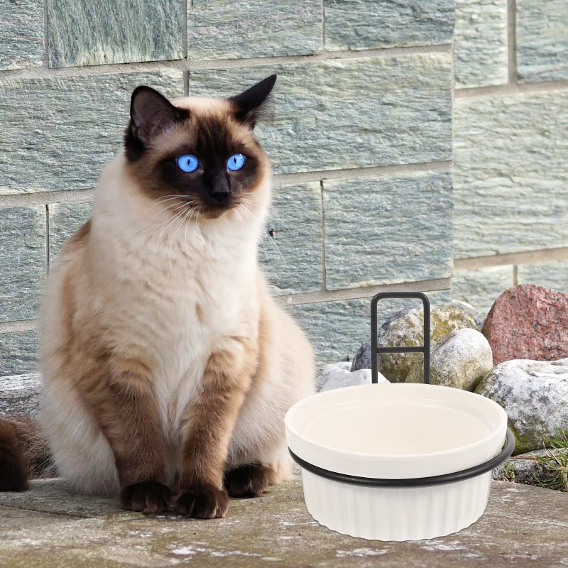 Title 3, Bowl Pet Cat Bowls Dog Hanging Feeder Raised Wa...