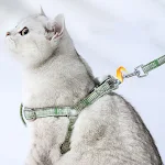 Small Dog Supplies For Cat Leash Prevention. Stop your dog from escaping. Bolt-proof design for added security. — photo 7