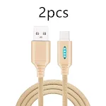 Type C 2pcs