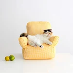 Nordic Sofa Cat Pet Bed Your Cat Will Rest Comfortably This Elegant Designed Sofa Bed Provides Comfort and a Nordic Touc — photo 4