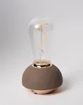 Gray Strip Bulb