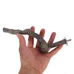 20CM