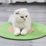 miniatures image - 1