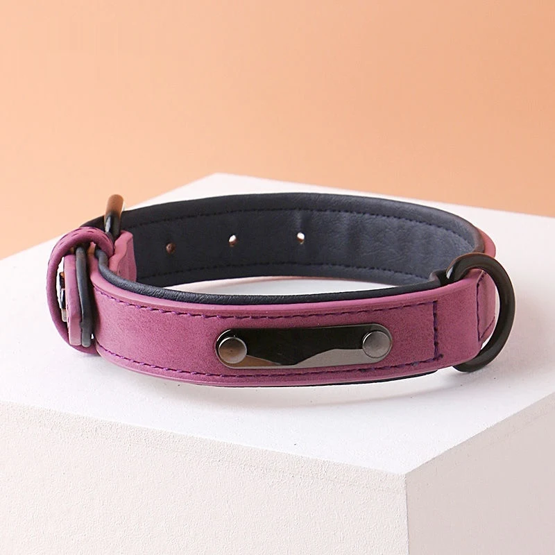 Simple and Portable Anti Loss Adjustable Dog Collar Keep your dog safe with this easy to use, adjustable, and portable c — photo 8