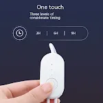White Timer Model