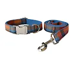 Dog Collar Suit
