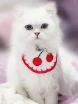 Cute Dog Bandana Pet Bib Neckerchief Cat Saliva Towel Scarf Puppy Dress Up Accessories — photo 2