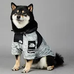 Dog Noodles New Shell Jacket for Large Dogs and Pets. Provide protection and style for your dog with this durable and un — photo 7