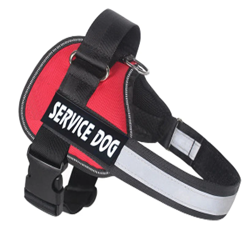 Title 3, Durable and comfortable Labrador dog harness an...