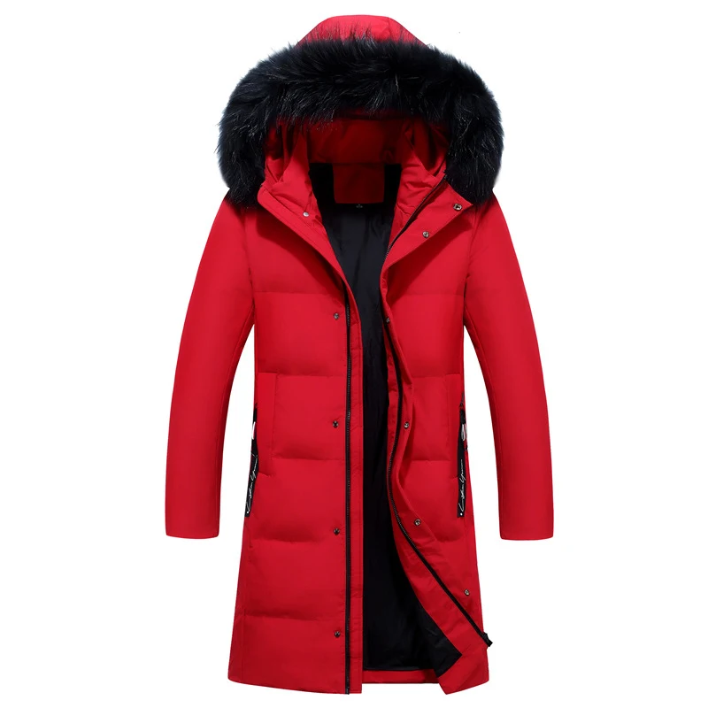Title 2, Long, Slim Down Jacket with Large Fur Collar Ov...