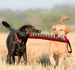 Durable Dog Training Tug Toy Dog Bite Stick Pillow Puppy Toy with Rope Handles Large Dog Training Interactive Play Chewi — photo 4