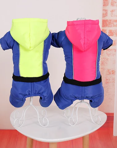 Image product - 3