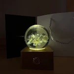 miniatures image - 2