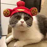 God of Wealth