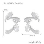 F1306 Steel Earrings