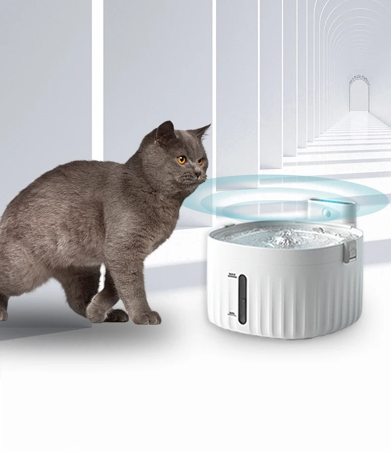Title 1, Pet Intelligent Automatic Circulating Water Fou...