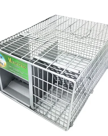 Image product - 1