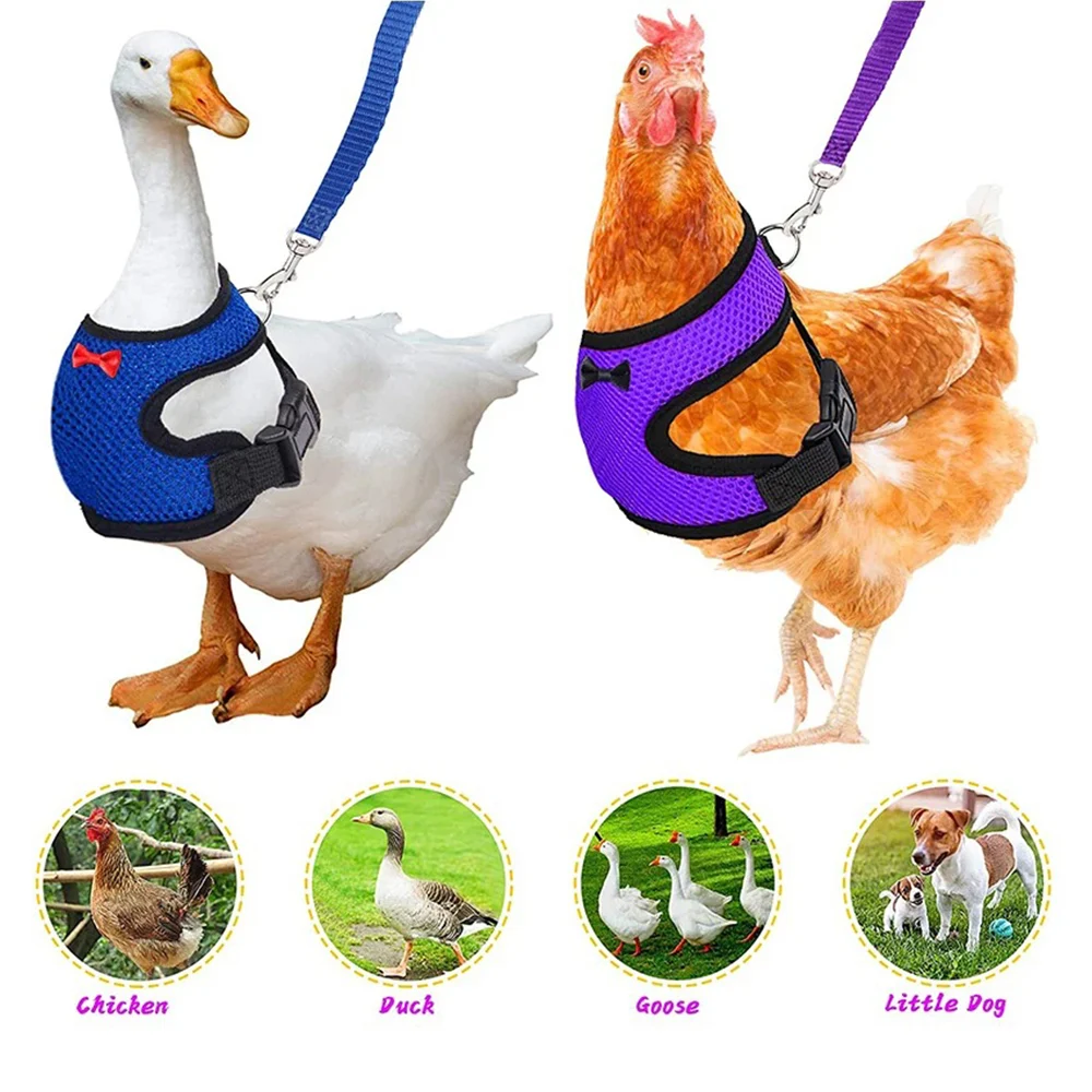product image - 12