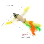 Canvas Fish