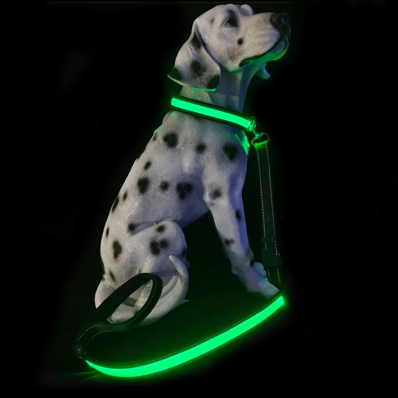 Title 3, Luminous Nylon Strap Charging For Common Dogs, ...