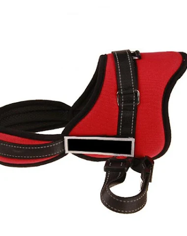 Image product - 2