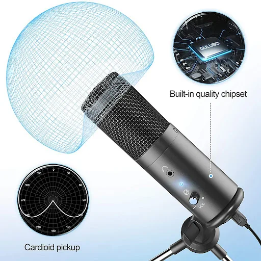 Title 4, Podcast Recording Microphone for Live Performan...