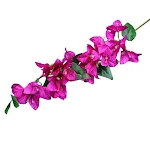 miniatures image - 2