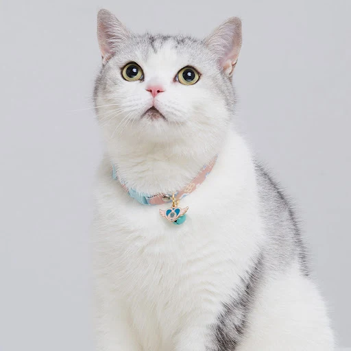 Title 2, Simple and Cute Cat Rainbow Silent Bell Collar,...